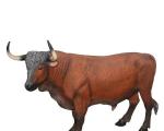 Совместимость быка и козы