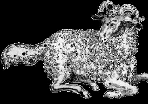 Астрономия на координатной плоскости Созвездие на координатной плоскости с координатами